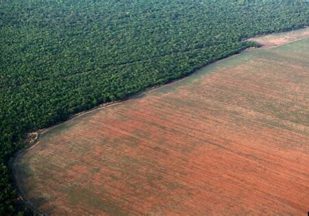 Brazil deforestation (1)