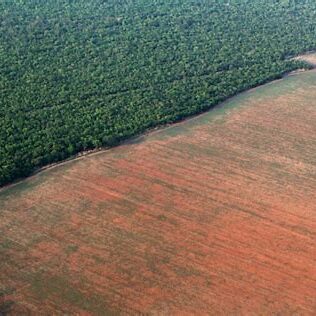 Brazil deforestation (1)